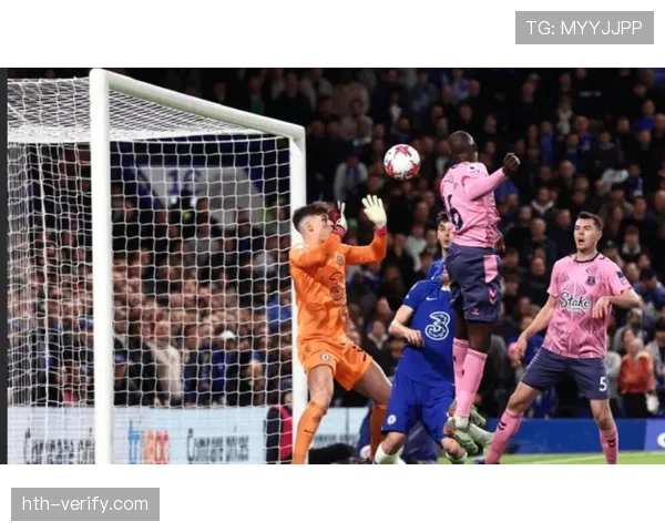 埃弗顿球迷抗议球队近期表现与管理层决策