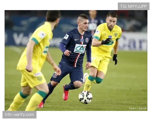 图卢兹主场分析 图卢兹主场分析